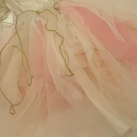 Fairy Costume - Picture 5 of 6